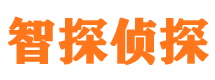 宜春调查公司